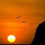 Sholawat Nariyah: Arabic, Latin, Meaning, and Its Importance